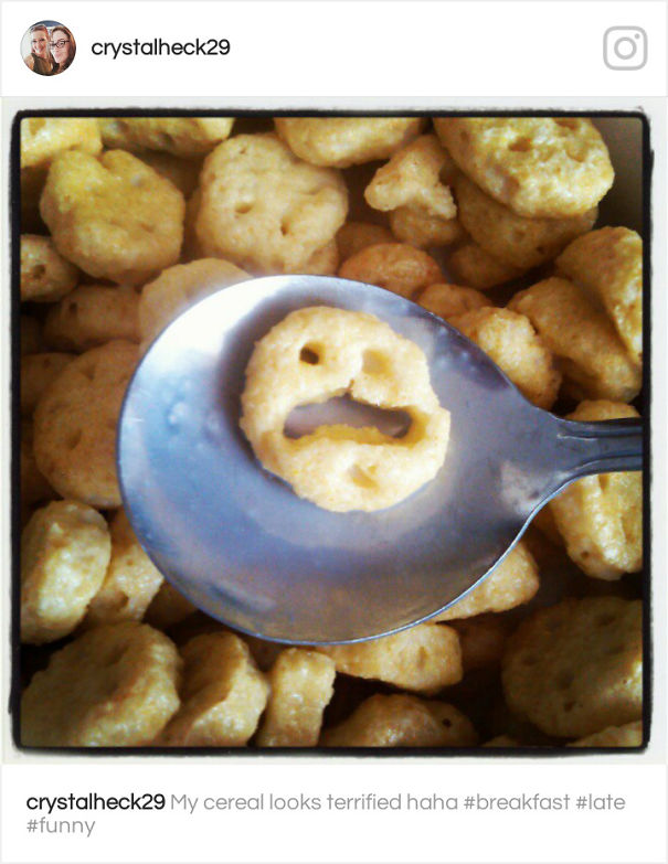 Please! Don't Eat Meeeeeeee!