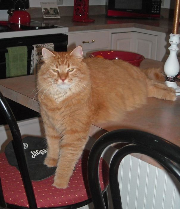 This Isn't Breakable Is It?