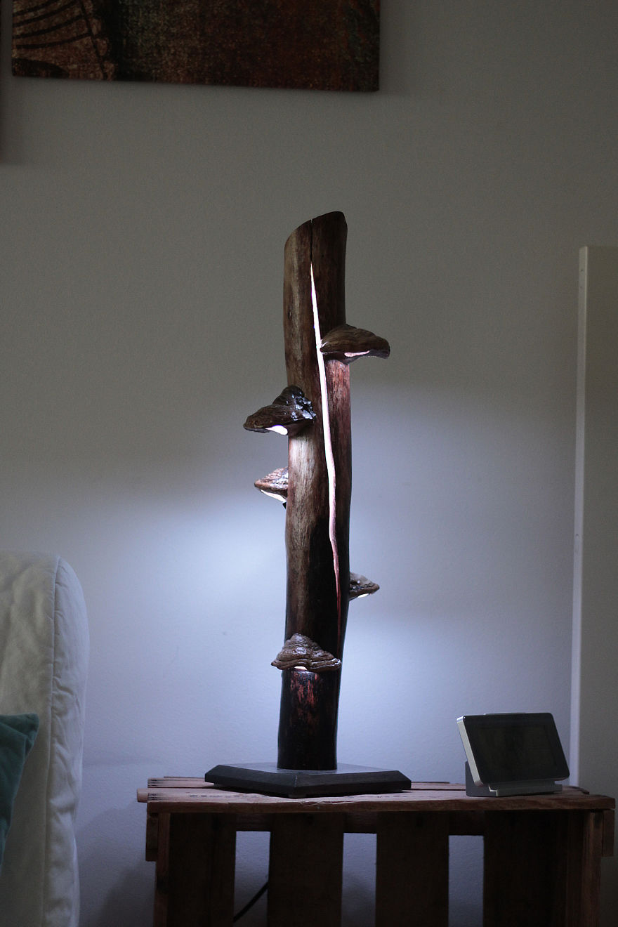 Mushrooms & Light = Awesome!