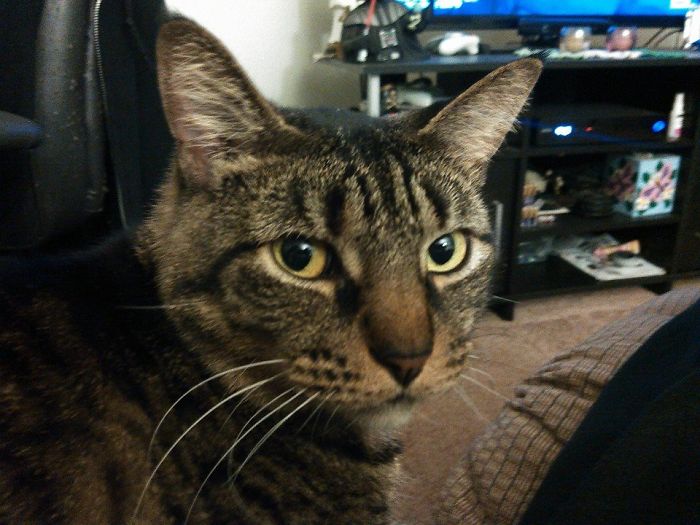 I Make Sure There Are No Witness. You Saw Nothing, Move Along Human.