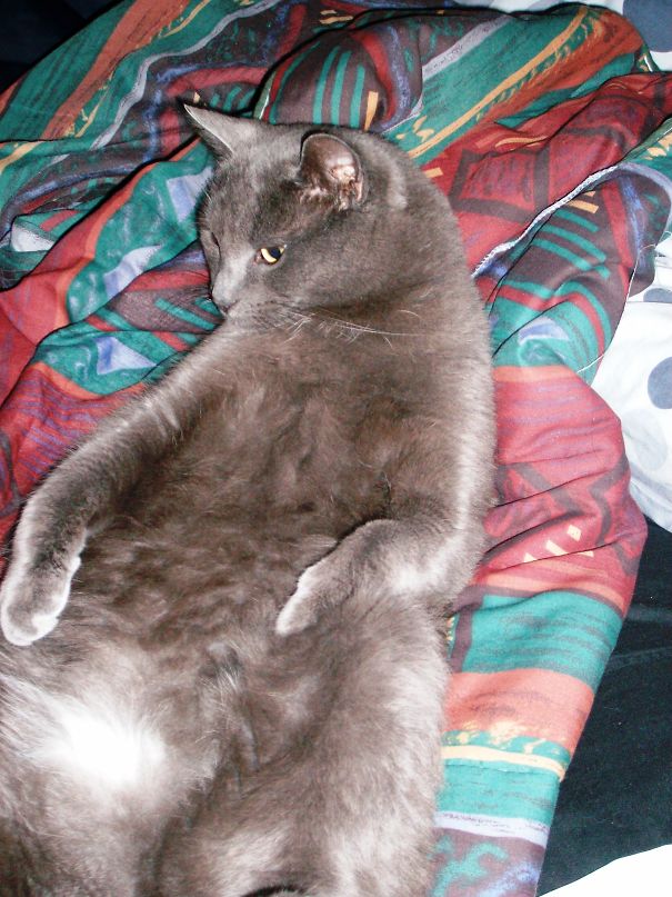 What? I Always Lie Like This...