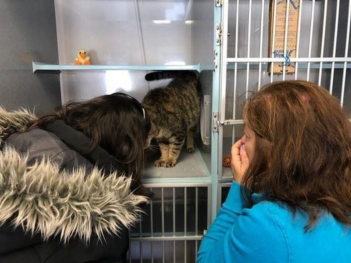 senior-shelter-dog-meets-baby-rocky-1 senior-shelter-dog-meets-baby-rocky-1