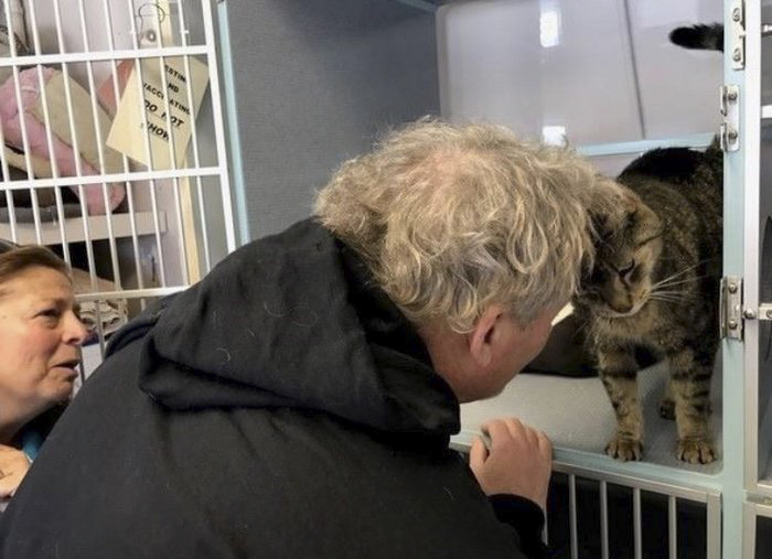 senior-shelter-dog-meets-baby-rocky-5 senior-shelter-dog-meets-baby-rocky-5