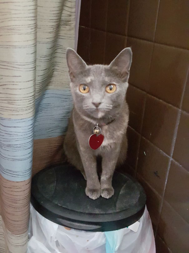 You Are Really Not Going To Wear That Today, Are You?