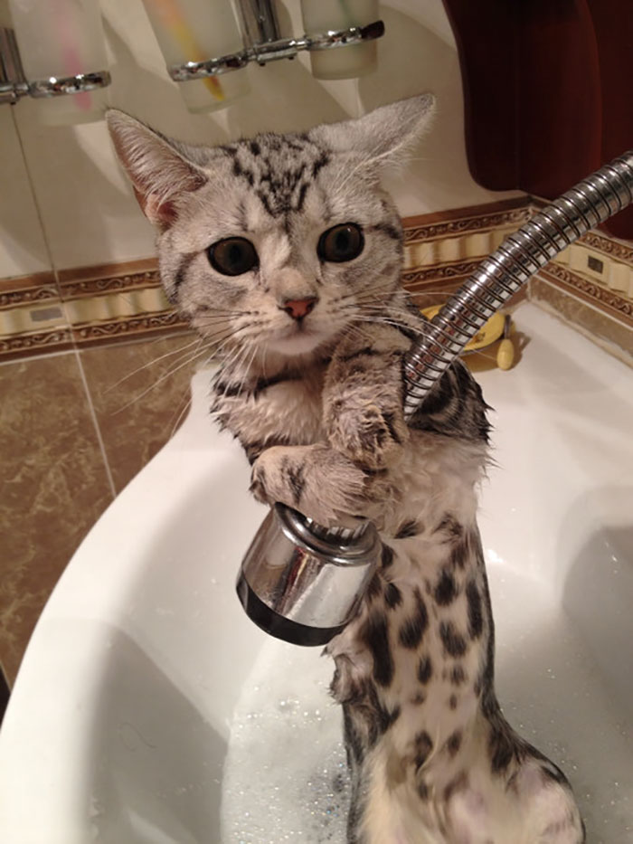 Please Don't Bathe Me