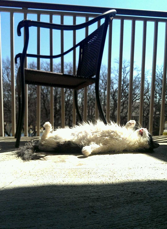 "Goodbye Cruel World!" I Just Gave Him A Bath