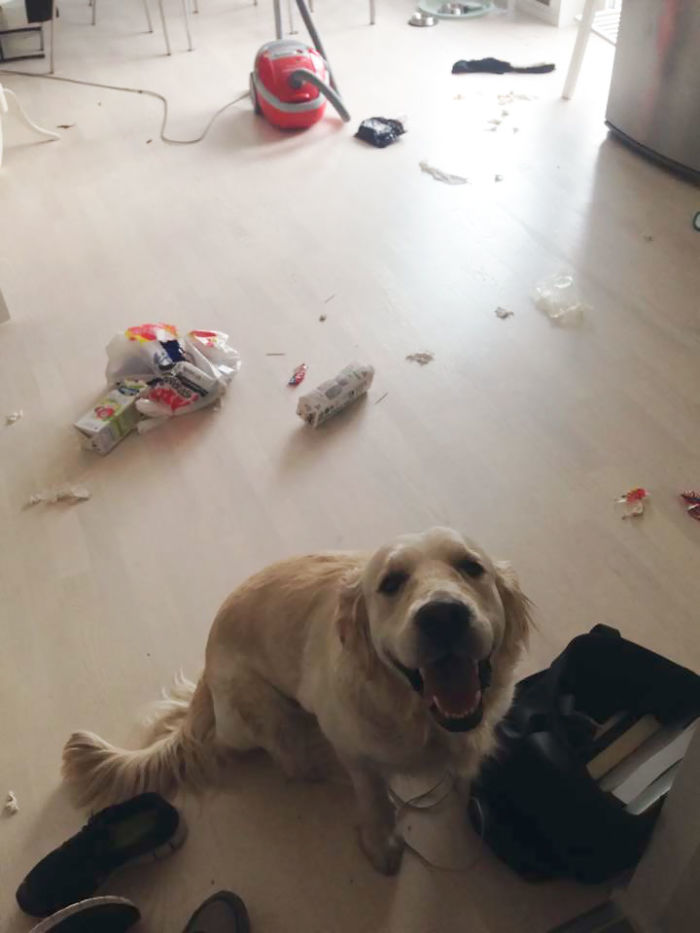 Meet Signe, She Hates Trash