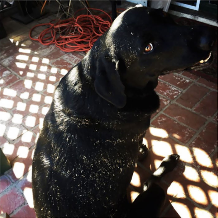 Told You There Was No Point In Giving Me A Bath