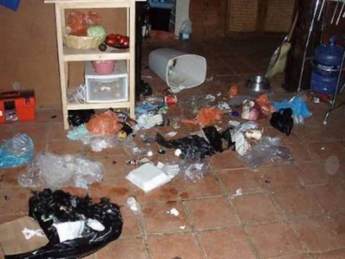 Why Do I Have Dogs Again