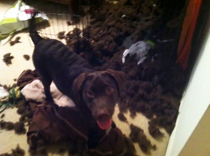 Look Mom, I Did This All By Myself!