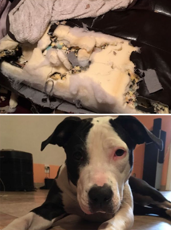 That Was My Futon. I Left Her Alone For Too Long