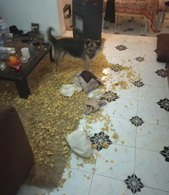 Now Eerytime I Go Out Ive To Hide The Pillows