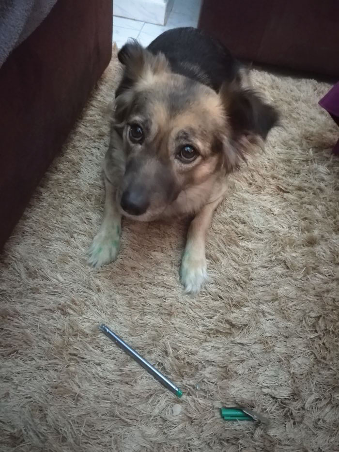 Dont Get Mad Mummy I Wanted To Draw Just Like You... And It Is Only Some Green Ink On My Pows... Just Like You!