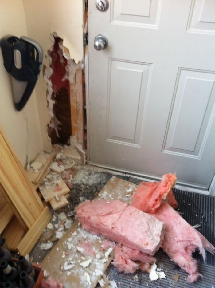 Left My New Rescue Dog Home Alone For 20 Minutes