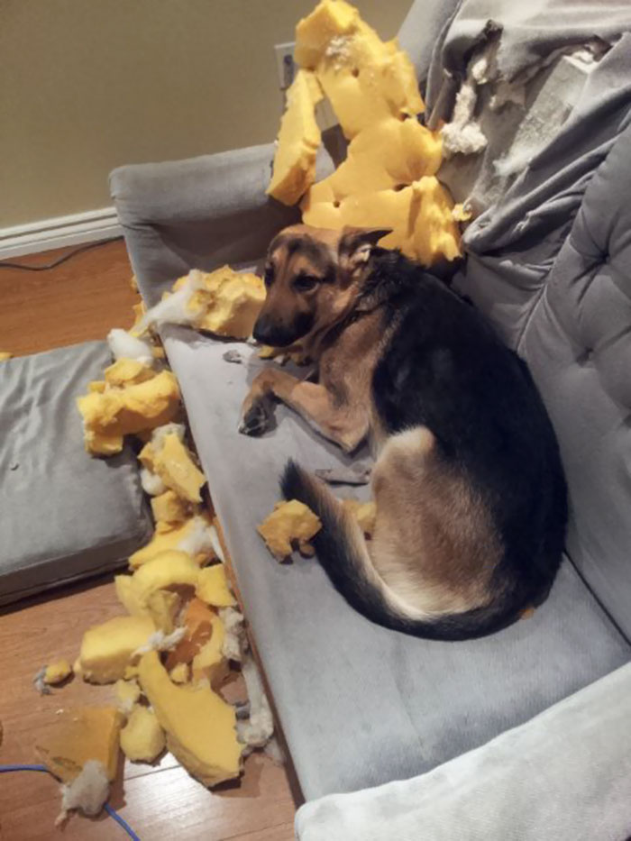 This Is What Guilt Looks Like