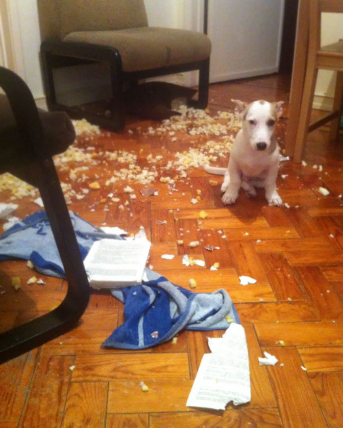 I Just Came Home To This