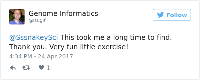 spotting-camouflage-snake-challenge-10