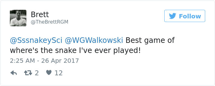 spotting-camouflage-snake-challenge-3