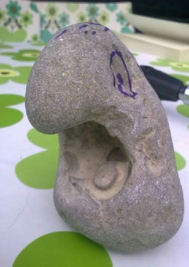 Found This At The Beach. The Kids Drew Eyes On It.