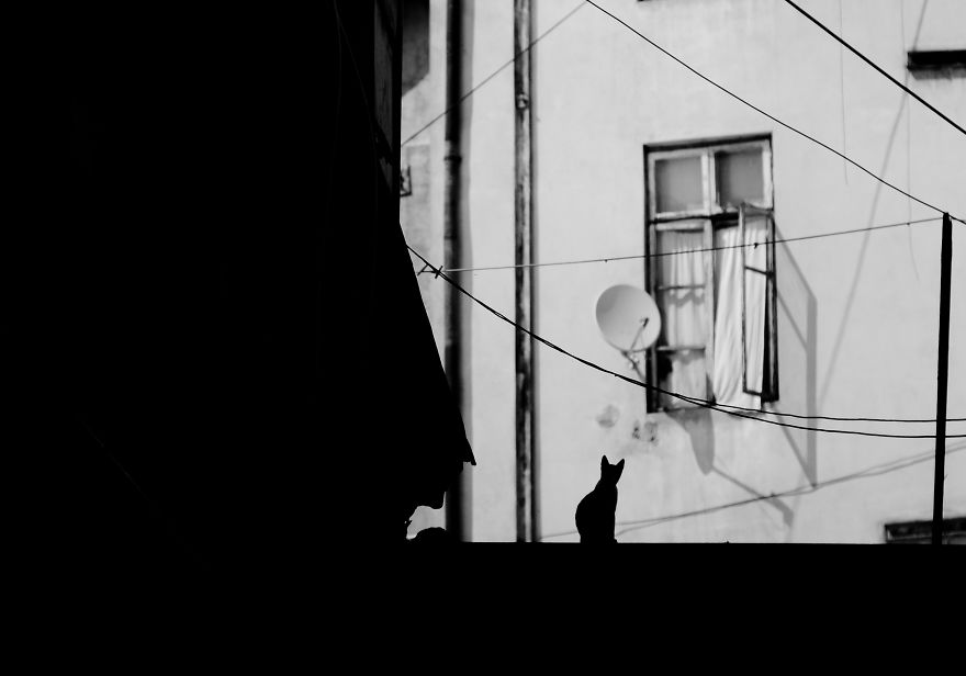 Bucharest, Our Beautiful Concrete Daily Prison