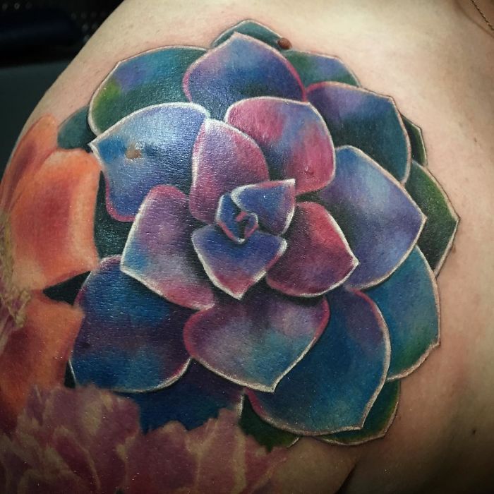 Colorful succulent tattoo with purple and blue hues on shoulder.