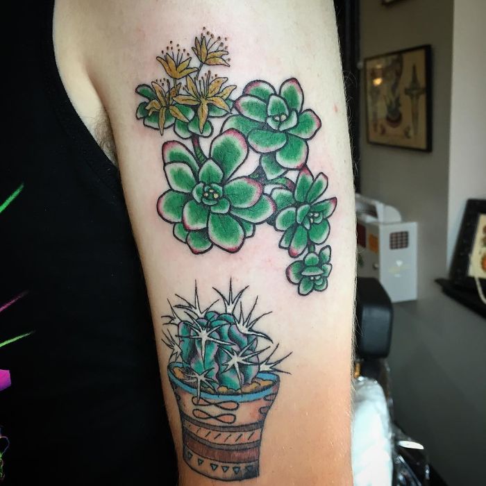 Succulent tattoo design on arm featuring green and yellow blooms, highlighting a love for succulents.