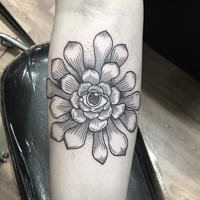 Black and white succulent tattoo on forearm, showcasing intricate petal details.