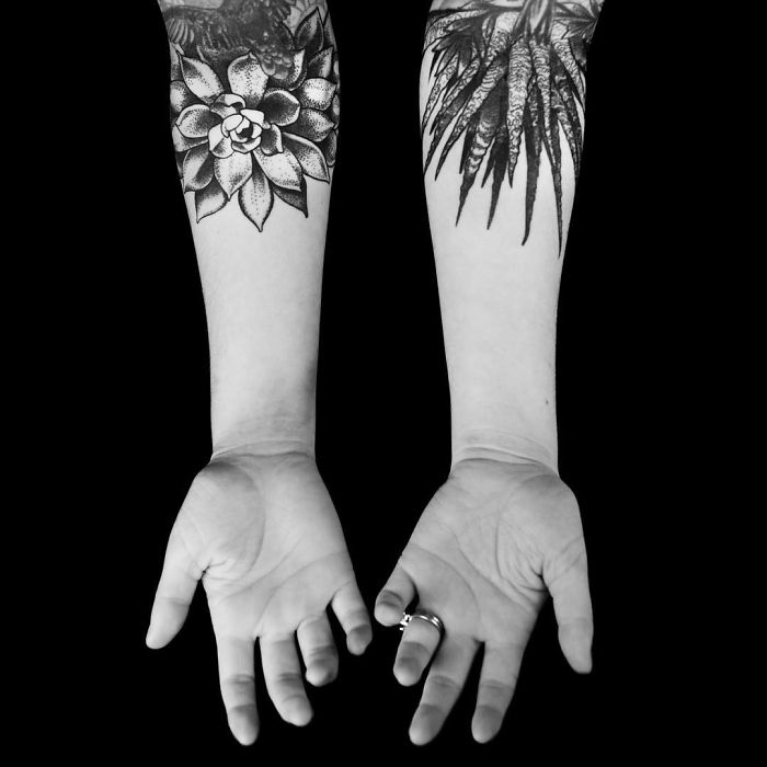 Two forearms with black and white succulent tattoos displayed against a black background.