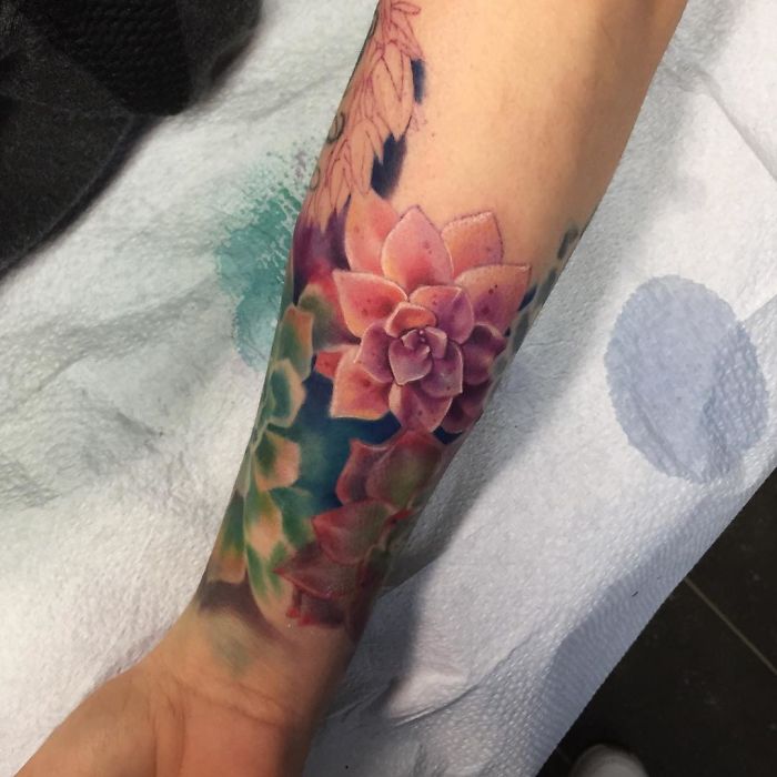 Colorful succulent tattoo on forearm, featuring vibrant pink and green hues, perfect for succulent enthusiasts.