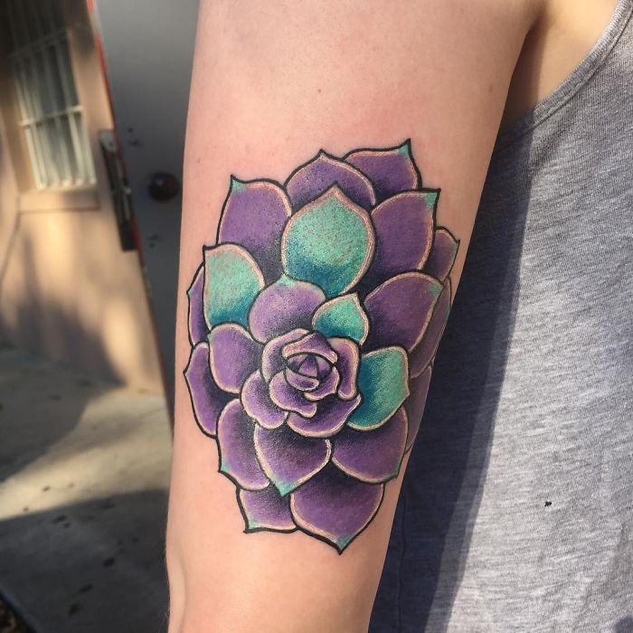 Colorful succulent tattoo on upper arm with shades of purple and teal in a realistic design.
