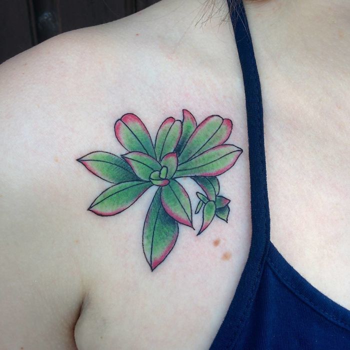 Succulent tattoo on shoulder with vibrant green and pink leaves, showcasing a creative design for succulent enthusiasts.
