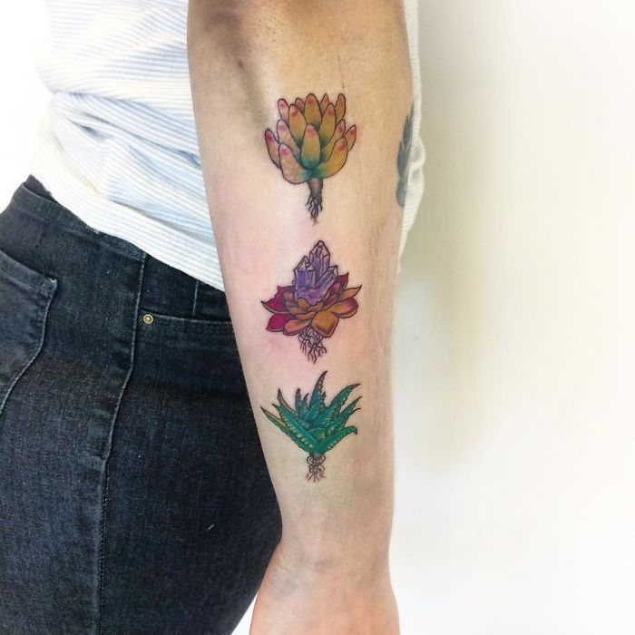 Colorful succulent tattoos on forearm, showcasing three unique designs for succulent enthusiasts.