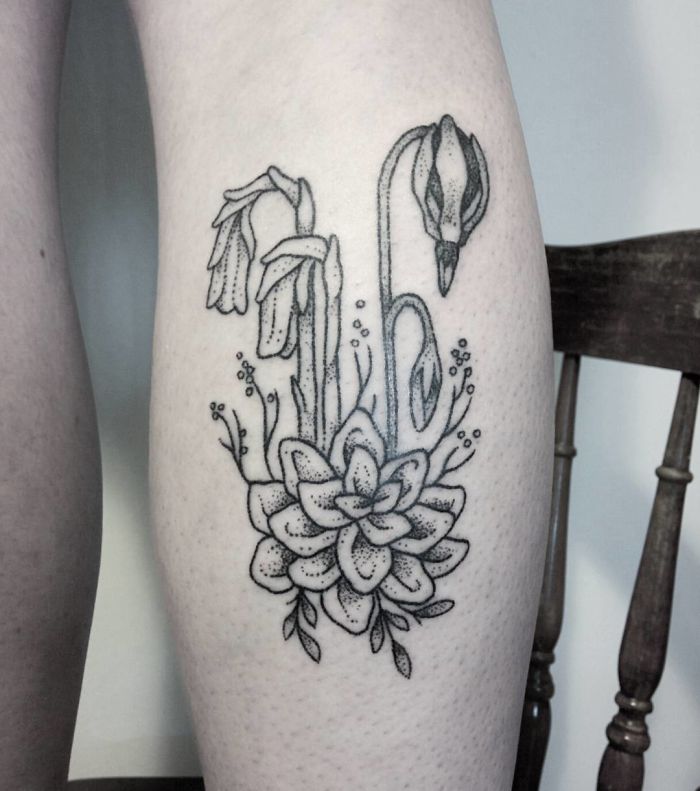 Succulent tattoo design in black ink on a person's leg.