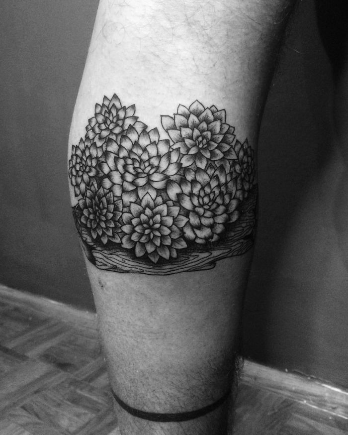 Succulent tattoo on leg, featuring intricate black and white floral designs, ideal for succulent enthusiasts.