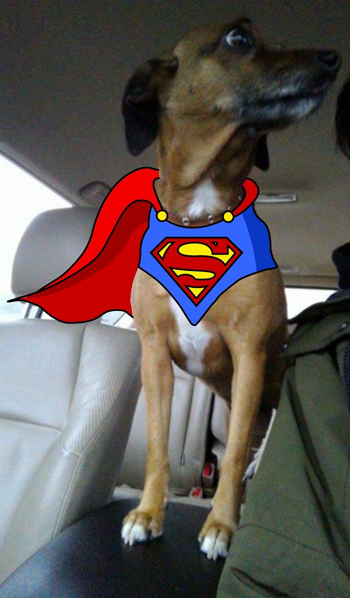 He Wants To Be A Superhero