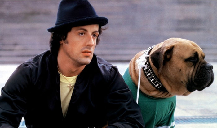 sylvester-stallone-dog-tribute-butkus-3