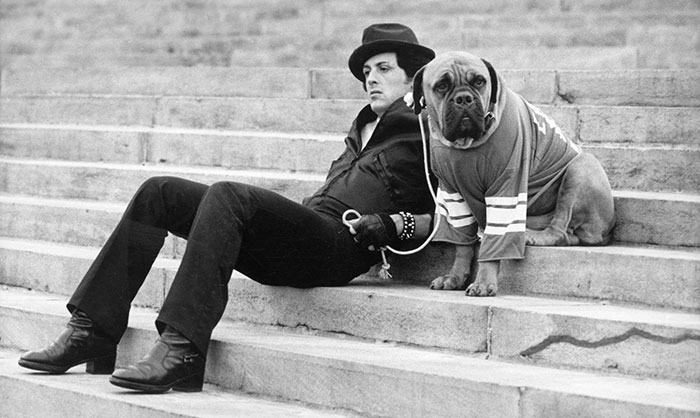 sylvester-stallone-dog-tribute-butkus-4