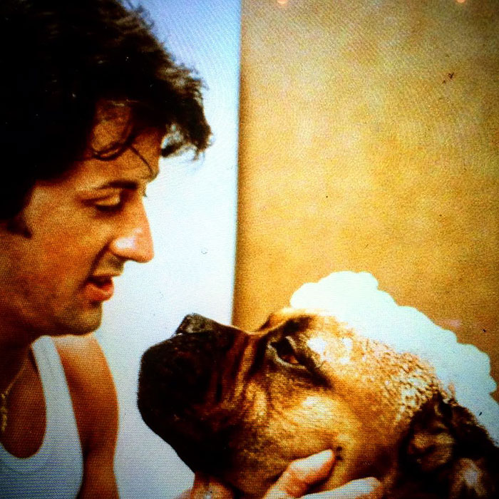 sylvester-stallone-dog-tribute-butkus-6