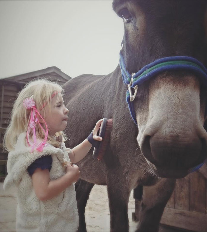 therapy-donkey-helps-girl-speak-amber-13 therapy-donkey-helps-girl-speak-amber-13
