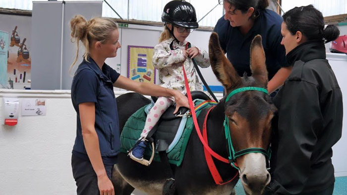 therapy-donkey-helps-girl-speak-amber-5 therapy-donkey-helps-girl-speak-amber-5