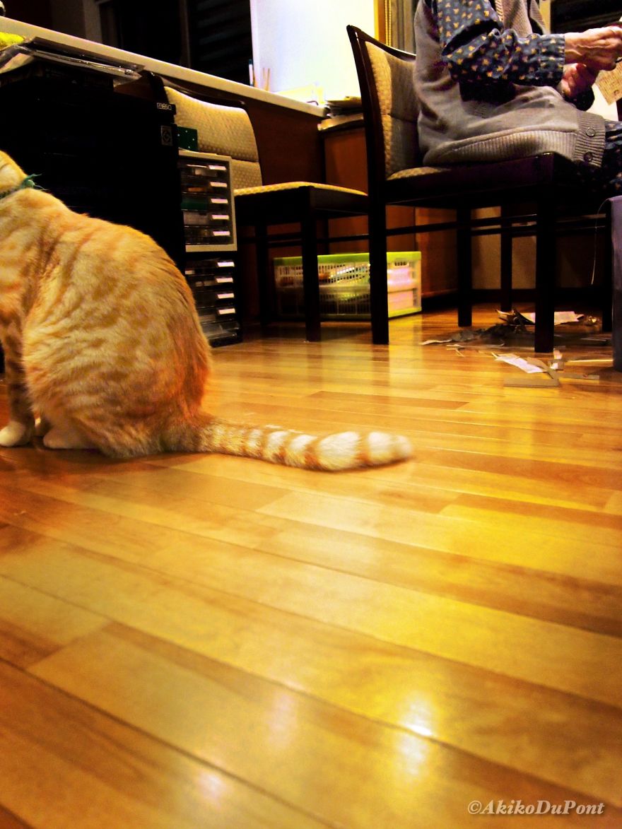 There Will Be Days Like This