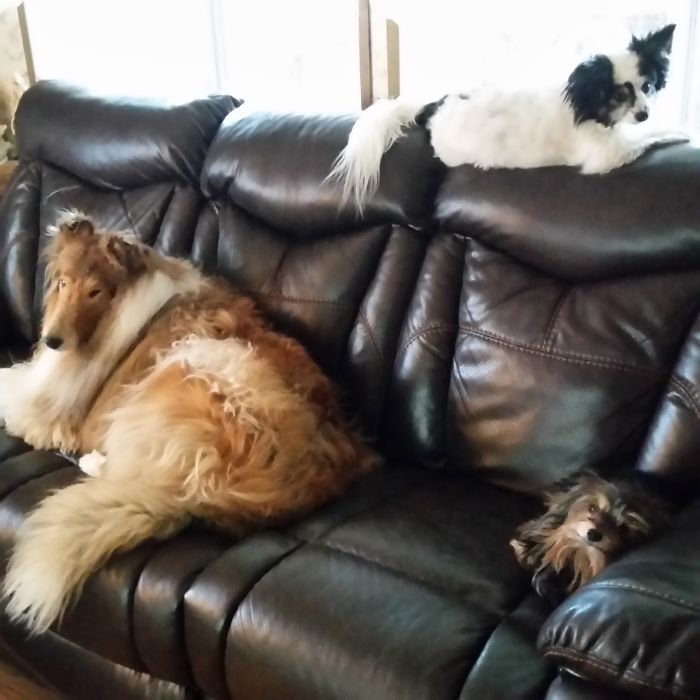 Where Are You Gonna Sit?