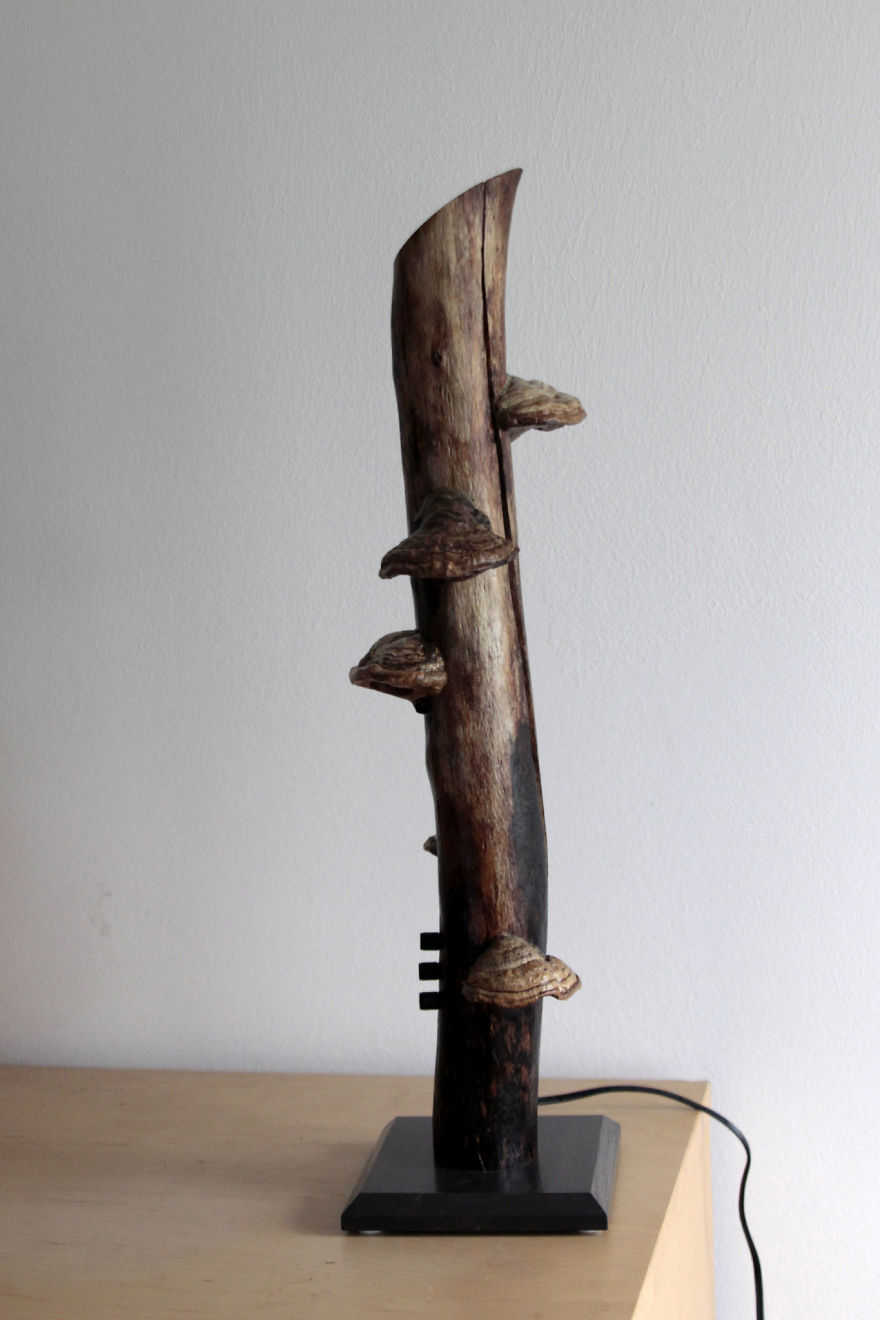 Mushrooms & Light = Awesome!