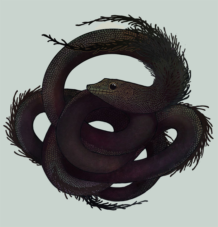 Lapsang Souchong Tea Spirit