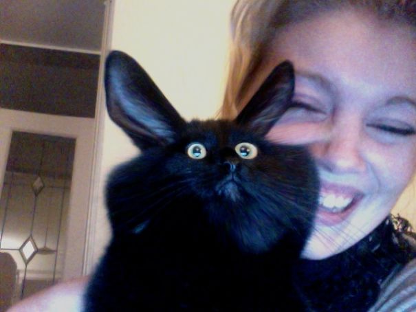 Playing Around With Photobooth, Human, What Have You Done To Me?!