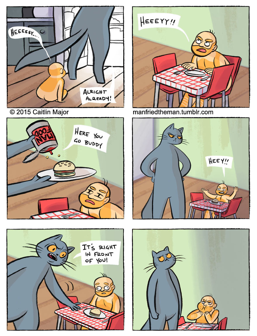 Manfried-the-man-comics