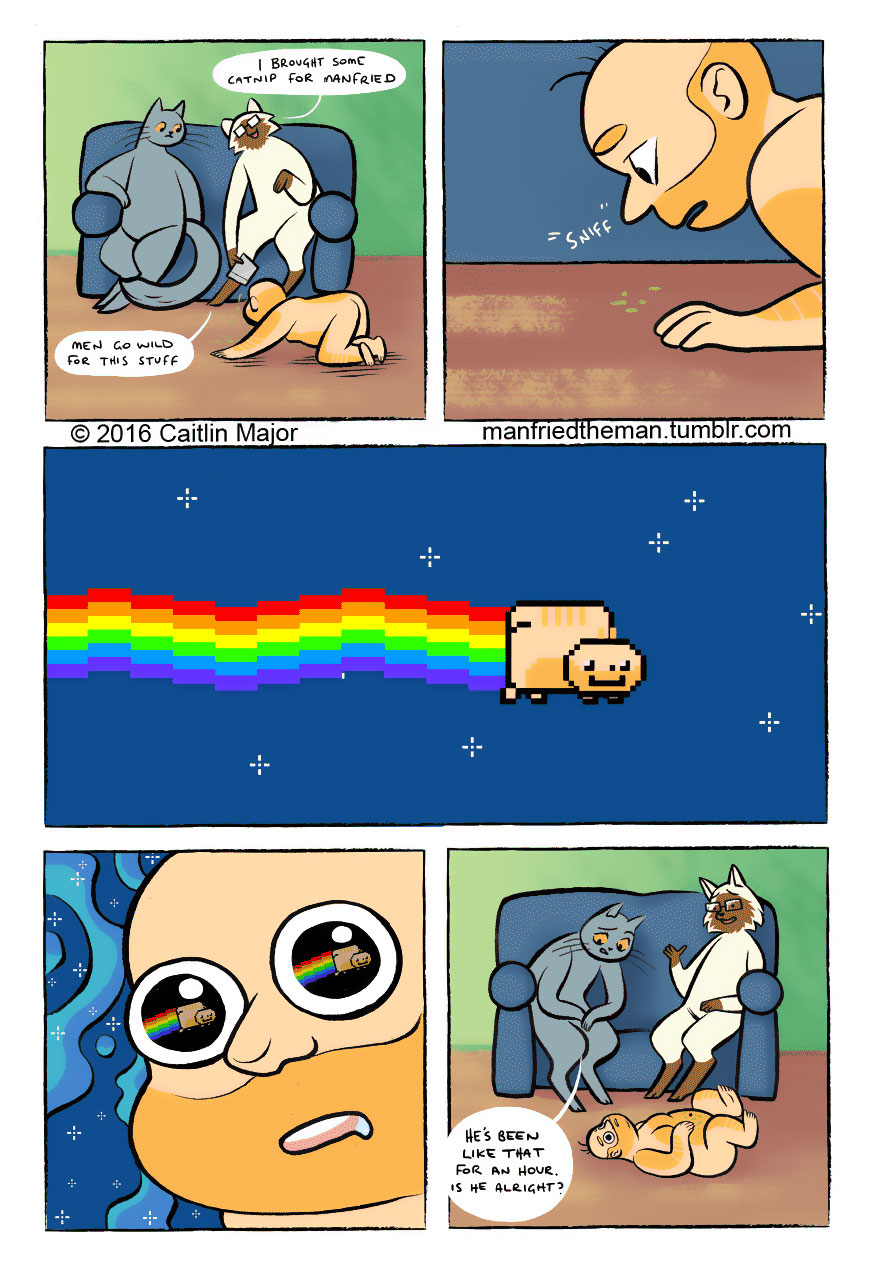 Manfried-the-man-comics