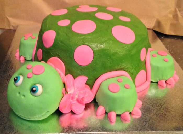 A Friend Told Me She Liked Green, Pink And Turtles... I Went With It....