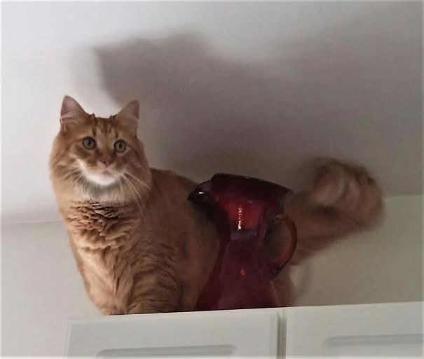 This Isn't Breakable Is It?