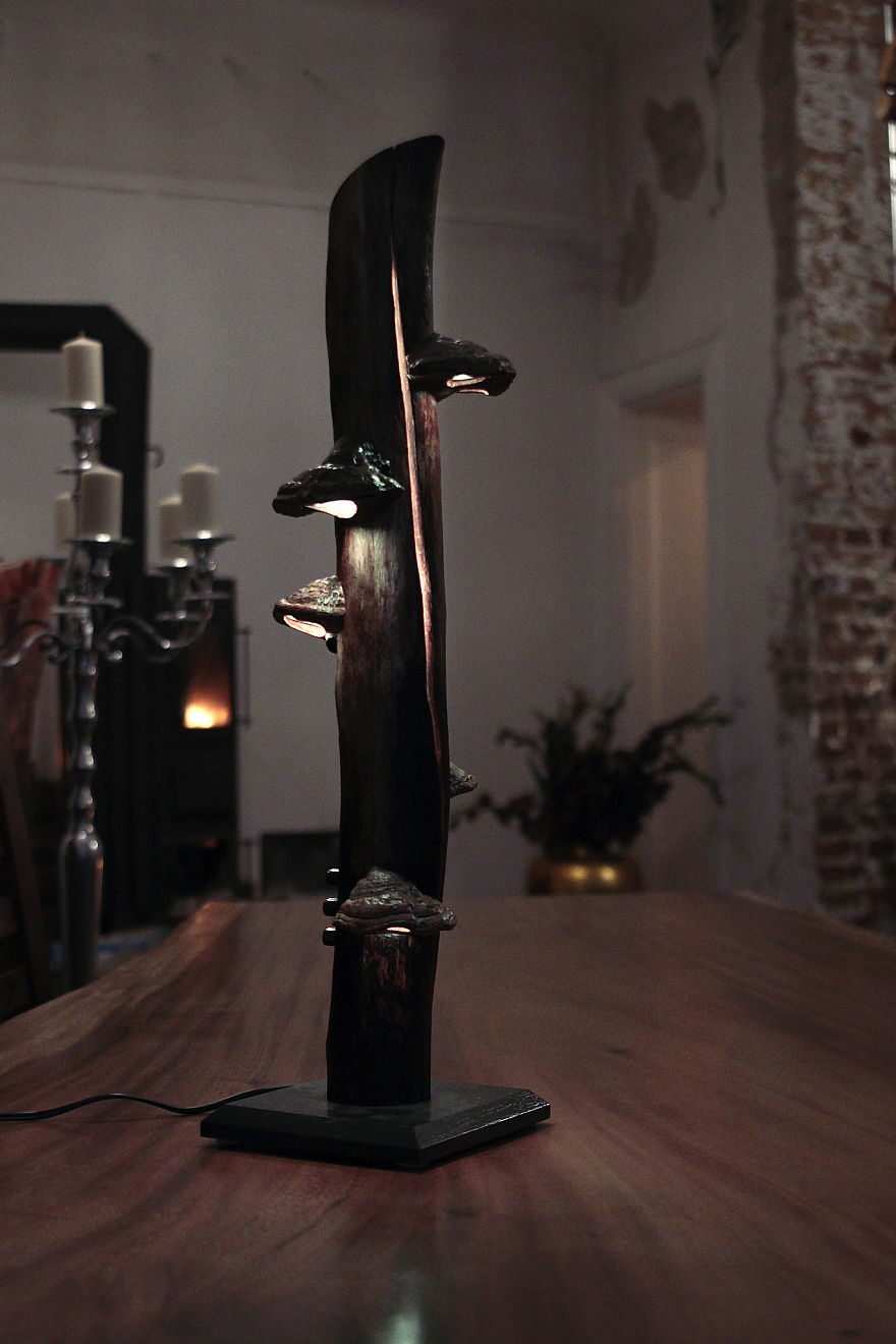 Mushrooms & Light = Awesome!